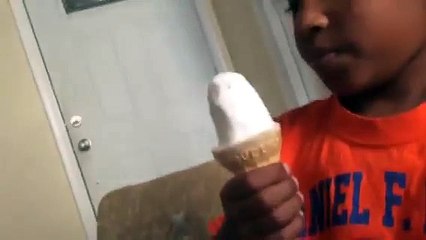 Funny dog eating a ice cream