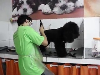 Tosador Arlan e BoB Papão 002.AVI