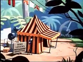 Walt Disney - Donald Duck - Clown of the Jungle - The Aracuan Bird