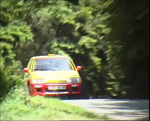 Rally Crash - Citroen AX