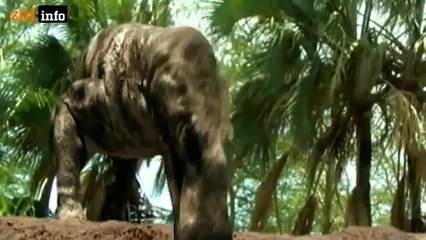 Katastrophen der Erdgeschichte (Teil 3) - ZDFinfo (1/3) (05.12.2012)