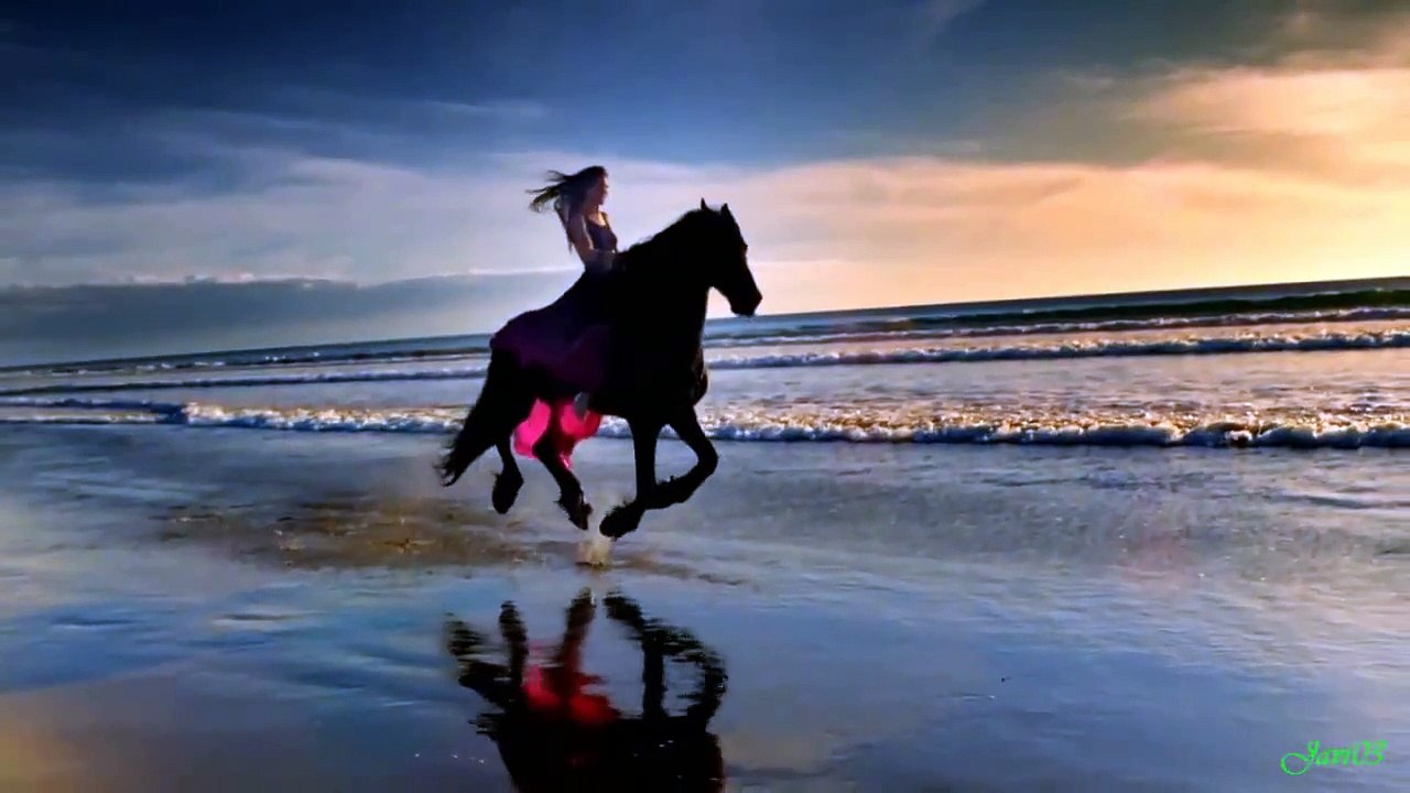 Caballos, una de las cosas mas lindas del universo sin duda!!