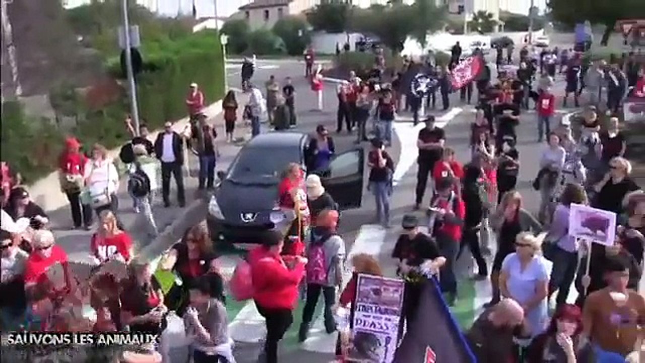 Rodilhan 2013 French Anti Bullfighting