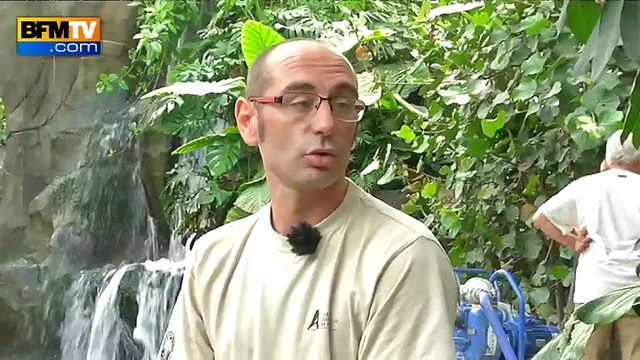 Une semaine en coulisses: le parc zoologique de Paris