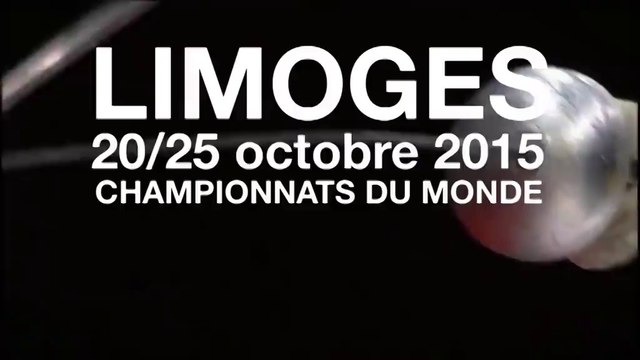 Championnats du monde d’escrime vétérans 2015