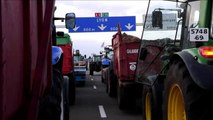 Les blocages routiers des éleveurs se poursuivent à Lyon