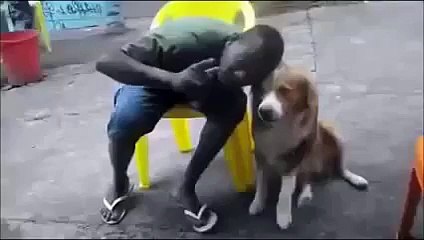 DOG THUG LIFE ANIMALS  #1