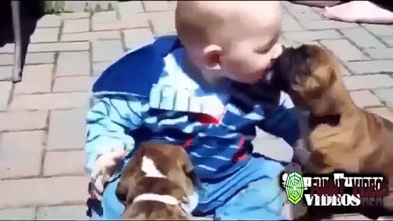 Funny Babies Video | Cute Videos,Funny Baby Laughing compilation 2015