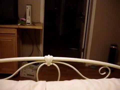 Kitten Plays Fetch Like A Dog!