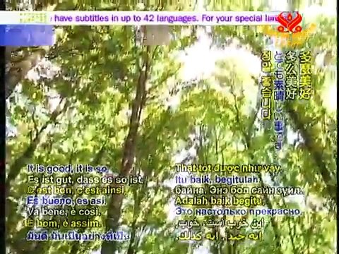 Dr. Joseph Bruchac on Animal Totems in North American Indigenous Cultures