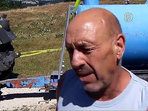 Военные вертолеты спасают коров от жары в Швейцарии