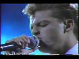 Luis miguel - La incondicional Viña del mar 1990