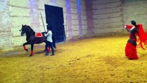 Baile entre mujer y caballo pura sangre español ,caballerizas reales de cordoba 2012