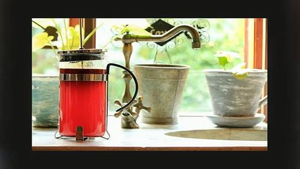 Rooibos Tea Delicious and Naturally Caffeine Free