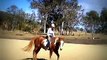 Horse Riding Bareback bridleless, free with positive reinforcement. Horsemanship