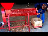 SICIL ZAPPA SMALLATRICE PER MANDORLE - Huller for Almond