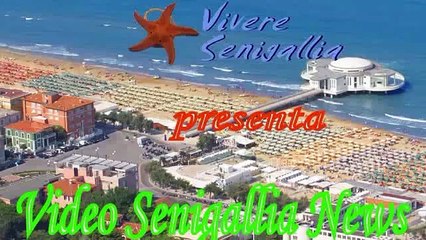 Vivere Senigallia News