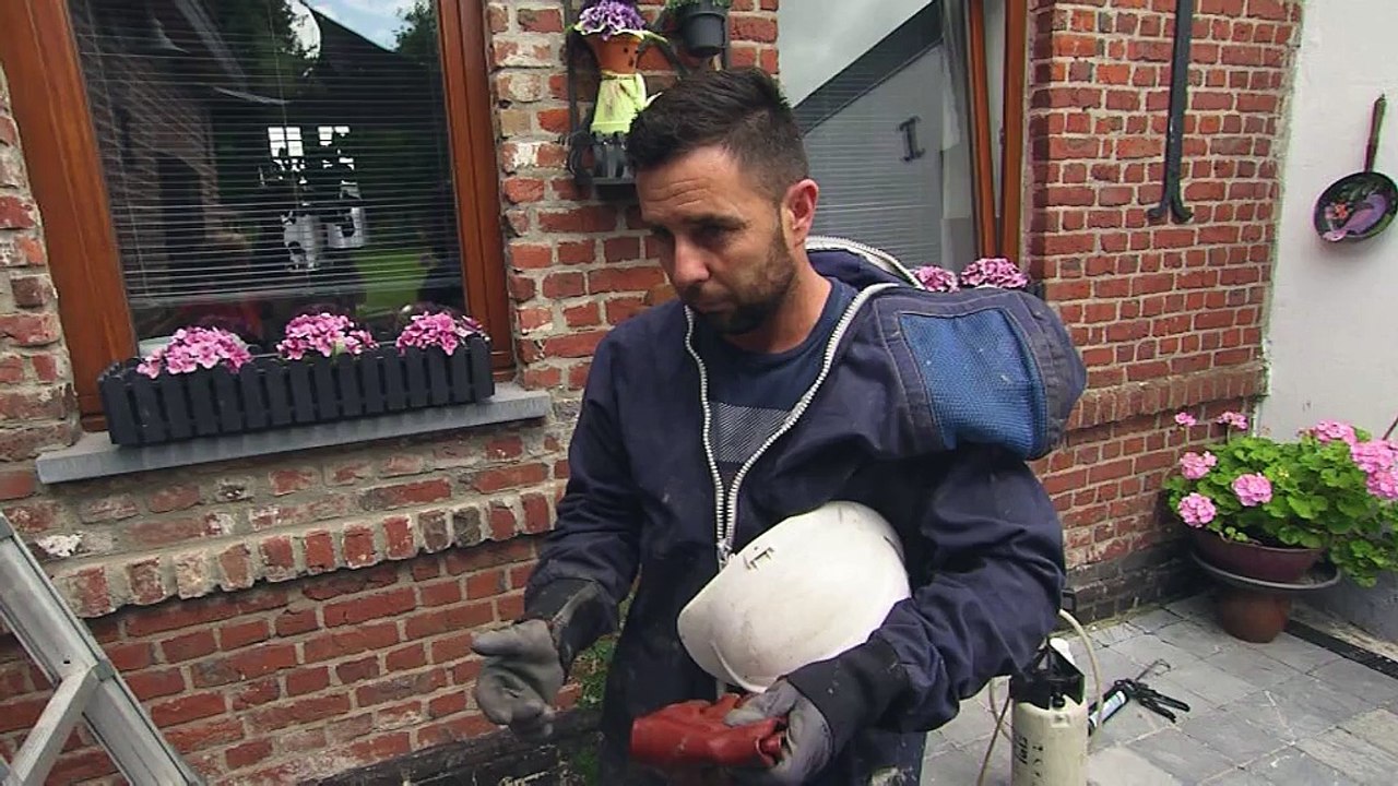 Attention aux nids de guêpes !