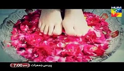 Ishq Ibadat OST - HD Vedio Title Song New Drama  [2015] - Hum Tv