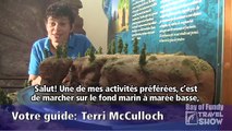 (Francais) Bay of Fundy Travel Show #5 - Hopewell Rocks, New Brunswick