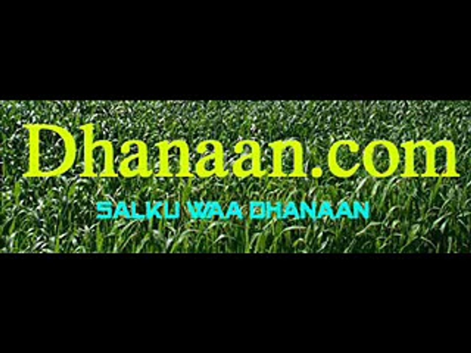 Warbixintii dagaalkii dhoobley