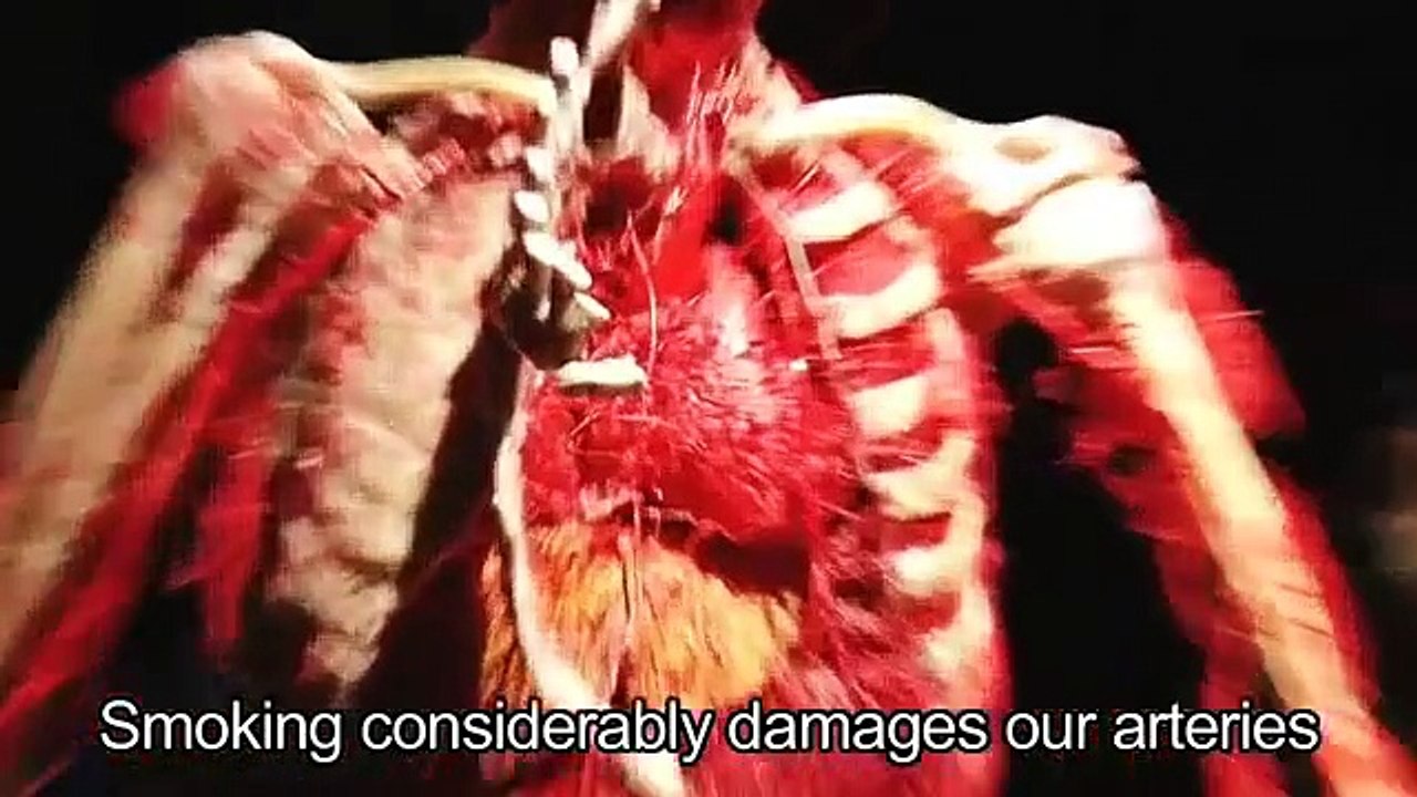 Gunther von Hagens explaining the dangers of smoking
