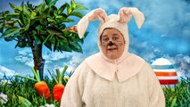 Funny Funny Easter Bunny:-  Travelling Rabbits