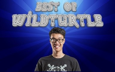 Best of TSM Wildturtle