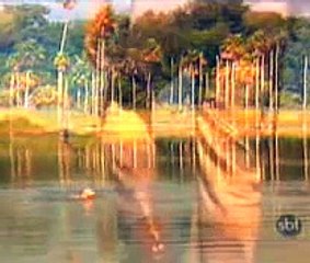 CASSIA KISS TOMANDO BANHO NO PANTANAL