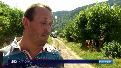 Dans les Vosges, le manque d'eau se fait sentir