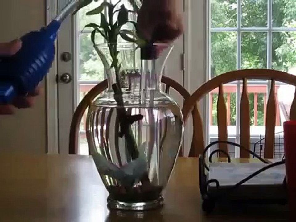 Doing water changes to all my fish tanks