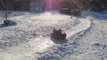Siberian Husky enjoys sledding in the snow