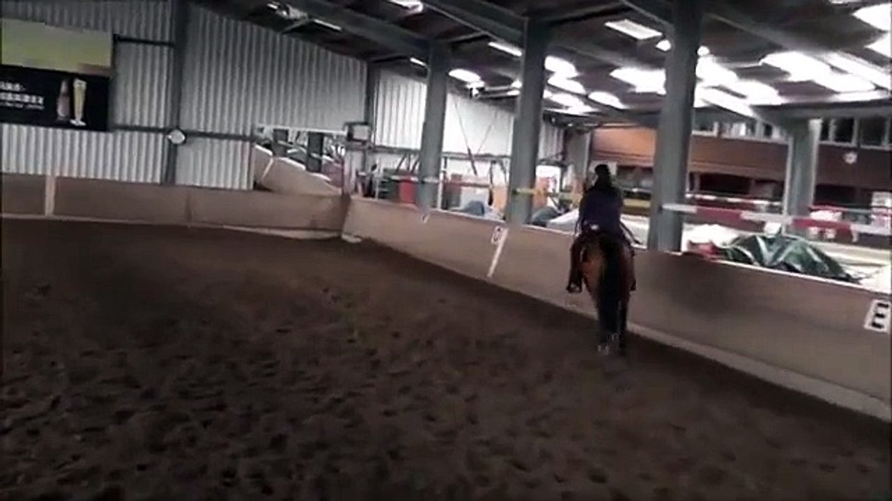 Vollblutaraber Madang, Westernreiten