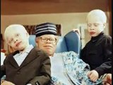 ALBINISM - Over 125  examples of people with albinism