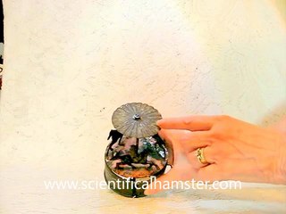 Antique Mechanical Toy Carousel Demonstrated