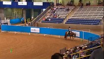 AQHA Untouchable Zipper 2010 World Show Western Riding Corritore