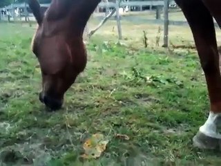 I choose to rise; not fall. I choose to live; not die.