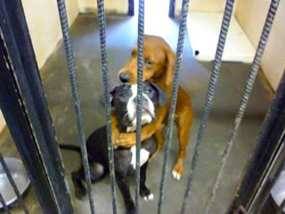 Internet Saves Hugging Best Friends