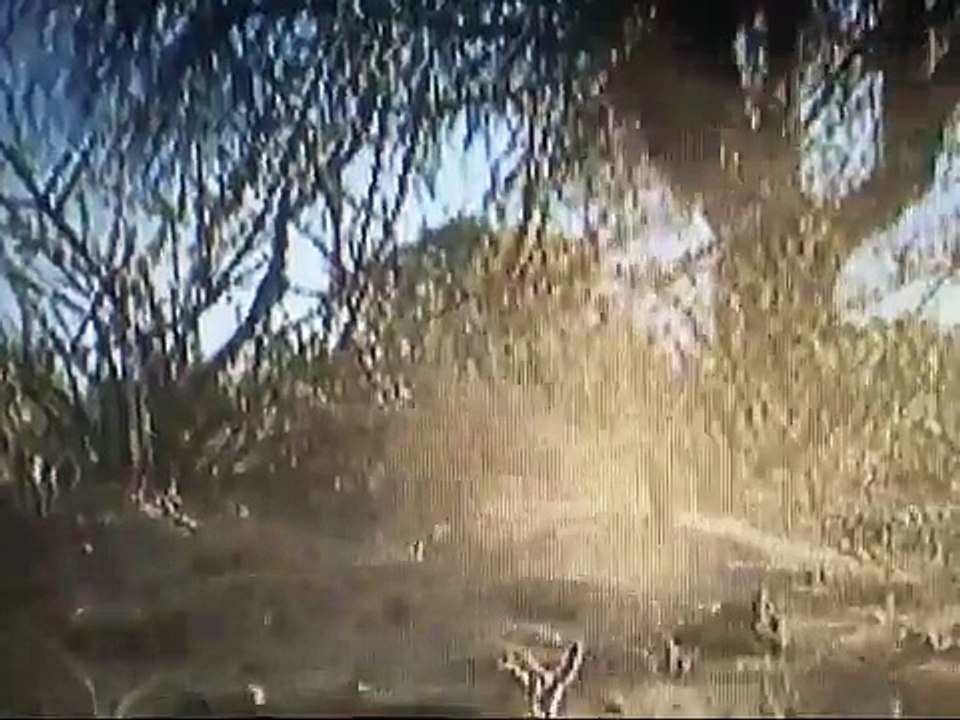 Meerkats: Digga Tunnah!