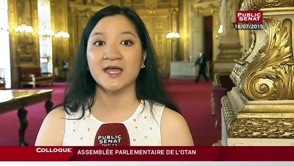 Audition - Table ronde sur le rôle de l'OTAN et de l'UE