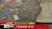 Japan Earthquake: Tsunami Hits After 8.9 Quake