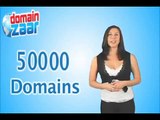 Domain Parking Script to Make Money with Your Parked Domains