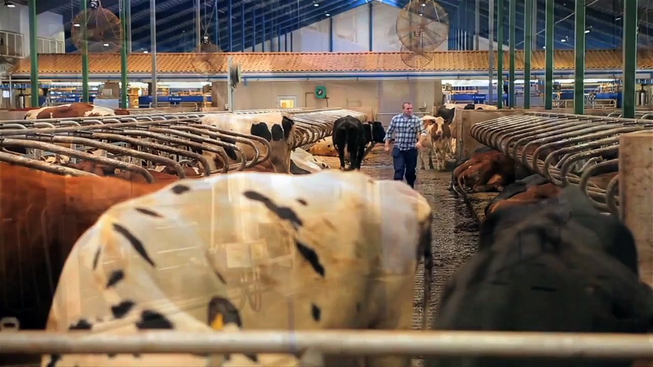 DeLaval VMS robot de traite - Intro généralités