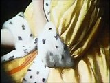El pintor y su obra Palettes - Jan Vermeer El astrónomo