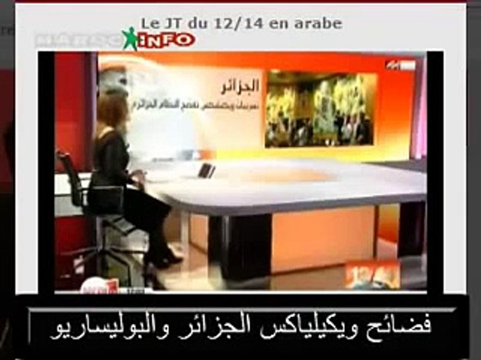 فضائح ويكيلياكس الجزائر والبوليساريو