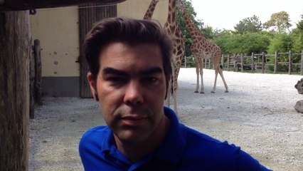 Zoo de La Flèche : nouveau projet avec France 4