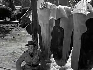 Los Tres Chiflados: Chiflados A Las Armas (2)
