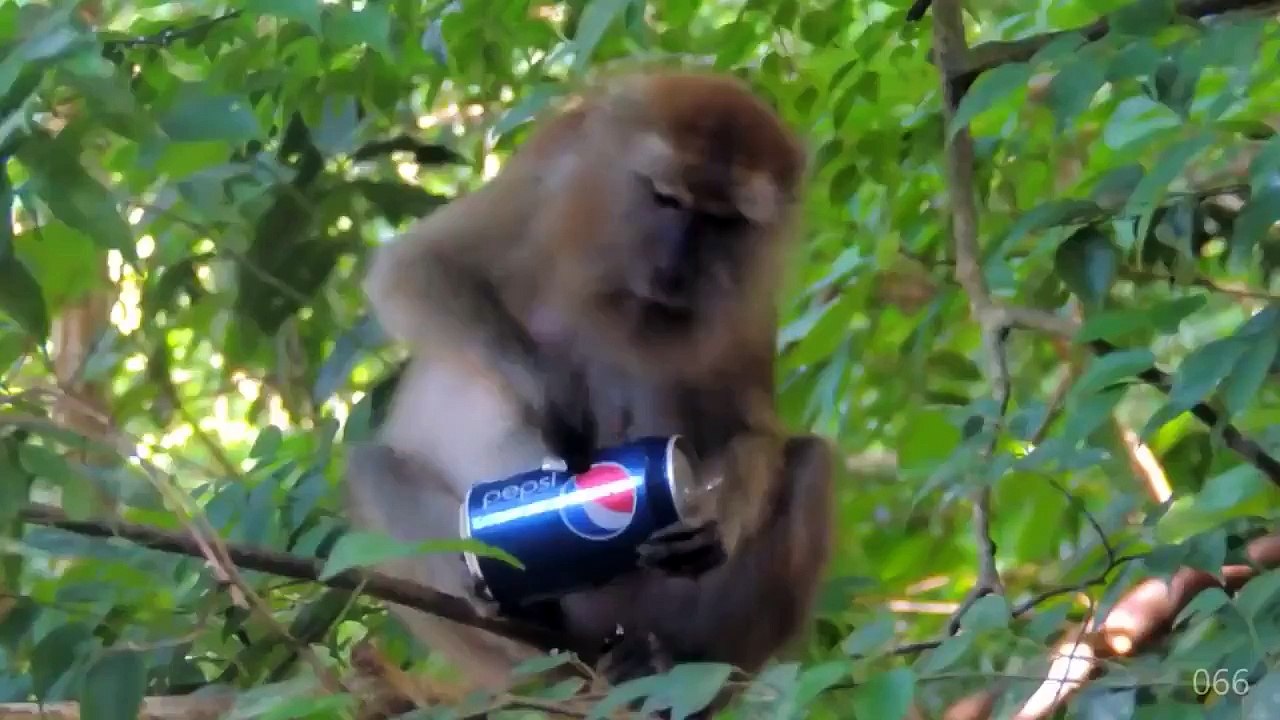 Best of Web Part III