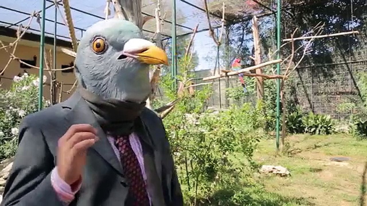 [LOL EXA]  LOL Yama Durumu - 5.14 Yaması