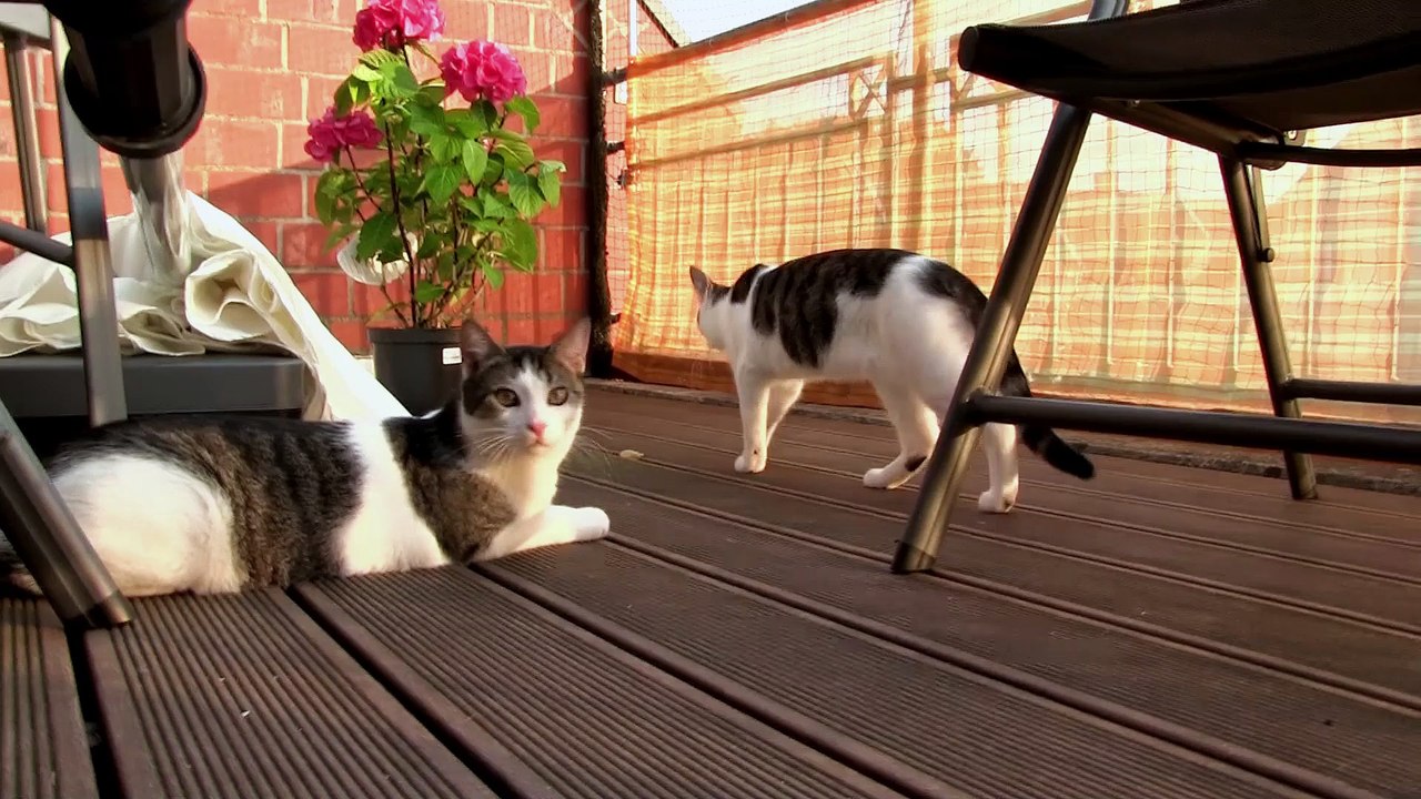 Luna und Jimmy auf dem Balkon